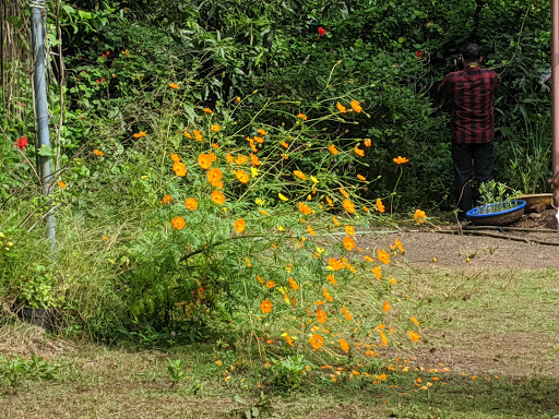 Ovalekar Wadi Butterfly Garden