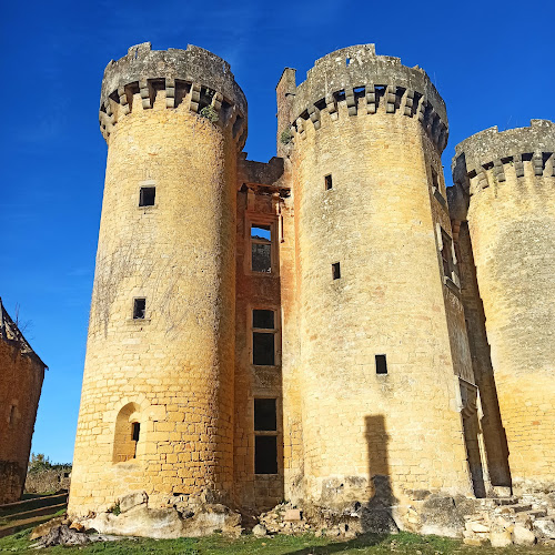 Château de Paluel à Saint-Vincent-le-Paluel