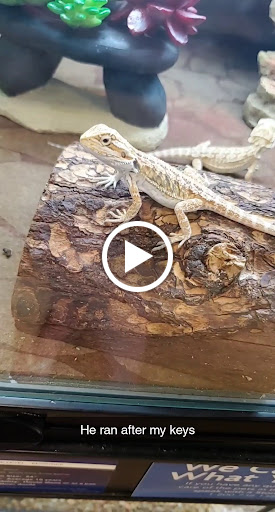 Pet Supply Store «PetSmart», reviews and photos, 5241 Monroe St, Toledo, OH 43623, USA