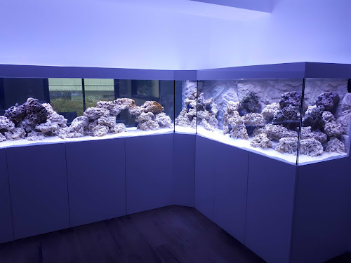 Magasin d'aquariophilie EAS Paysages Aquatiques Entrelacs