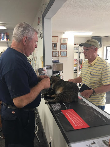 Auto Repair Shop «A-Ford-Able Automotive Services, Inc», reviews and photos, 1465 Old Moultrie Rd, St Augustine, FL 32084, USA