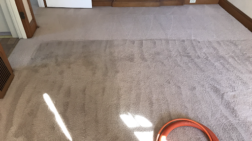 Alexs Carpet Cleaning image