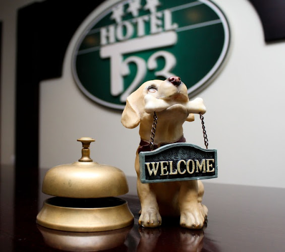 Hotel Pogari T23 - Hostal