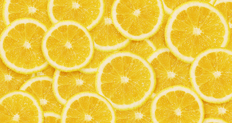 Lemontrees.info