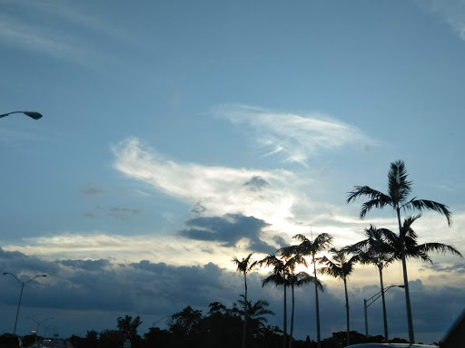 Supermarket «Walmart Neighborhood Market», reviews and photos, 3791 NW 167th St, Miami Gardens, FL 33055, USA