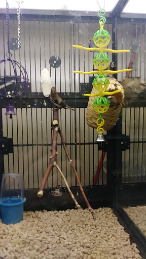 Pet Supply Store «PetSmart», reviews and photos, 2718 Legends Pkwy, Prattville, AL 36066, USA