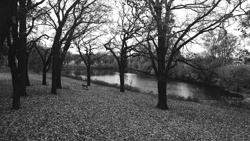Park «Augsburg Park», reviews and photos, 7145 Wentworth Ave S, Richfield, MN 55423, USA
