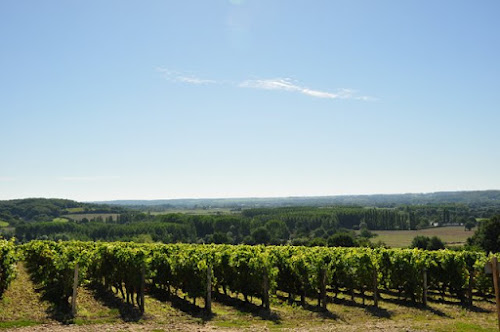 Vignoble Château Bénéhard à Chahaignes