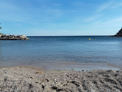 Foto di Cap Rousset beach area servizi