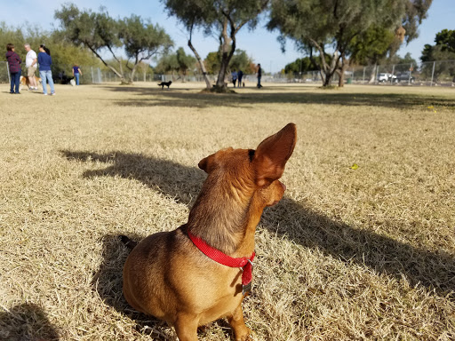 Park «Paradise Valley Park», reviews and photos, 17642 N 40th St, Phoenix, AZ 85032, USA