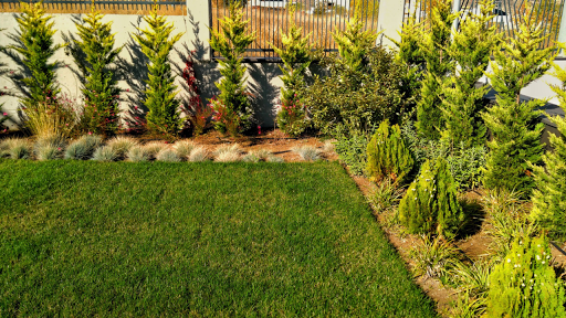 Heryeryeşil Peyzaj Ltd. Şti./ T: 0 533 969 08 50