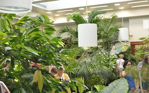 The Butterfly Atrium at Hershey Gardens image