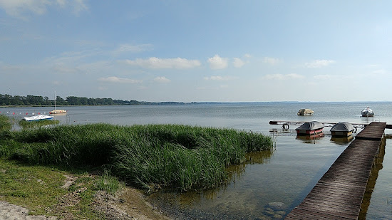 Hundebadestrand