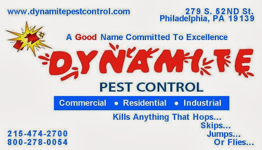 Dynamite Pest Control image 4