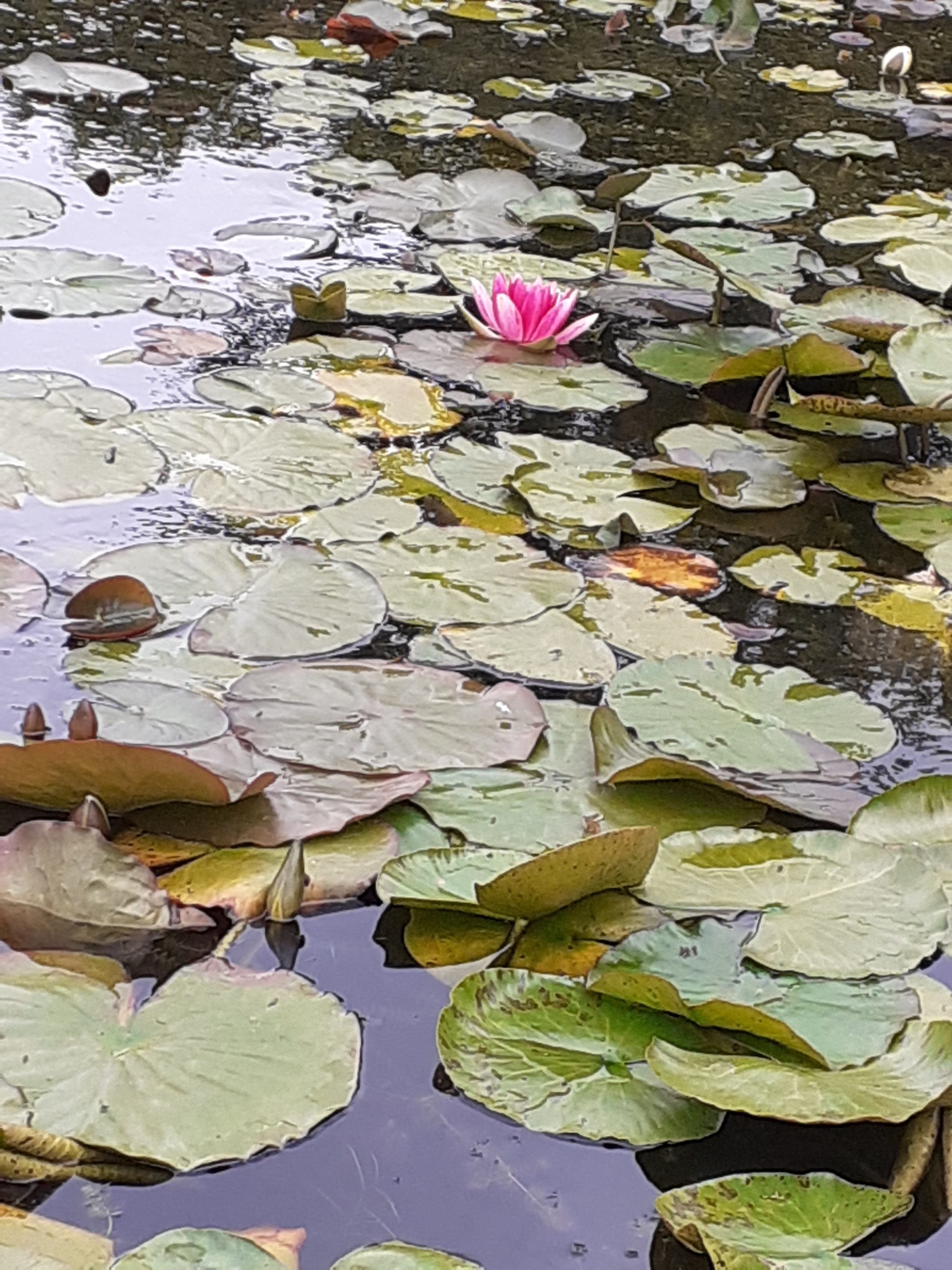 Photo n° 35 de l'avis de Kirenia.e fait le 22/05/2021 à 17:27