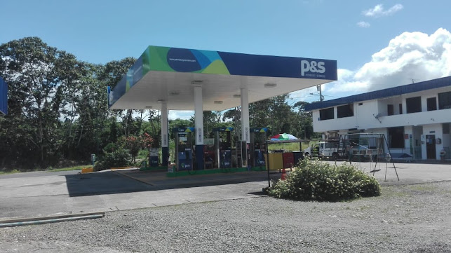 Comentarios y opiniones de Gasolinera P y S