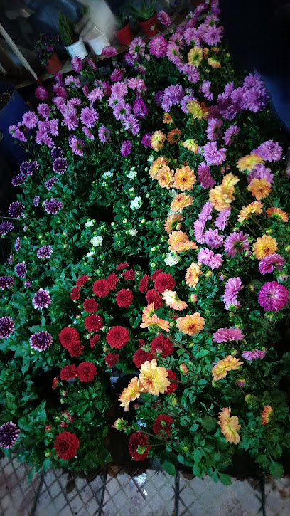 Doğan Çiçekçilik