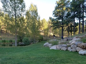 Pine Canyon - photo 19