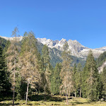 Photo n°1 de l'avis de Lucia.u fait le 11/09/2023 à 08:20 sur le  Hotel Ferrari Pinzolo à Pinzolo