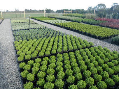 GreenLinc Nursery