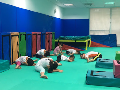 快樂小熊新五泰國民運動中心店 | 兒童體能訓練課程 | 兒童體能館