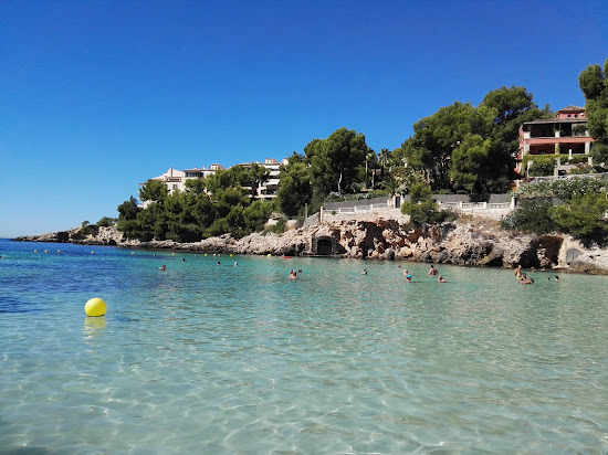 Caleta de Portals Nous