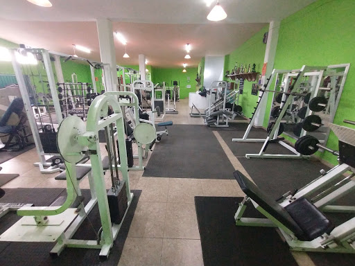 Universal Gym Toluca