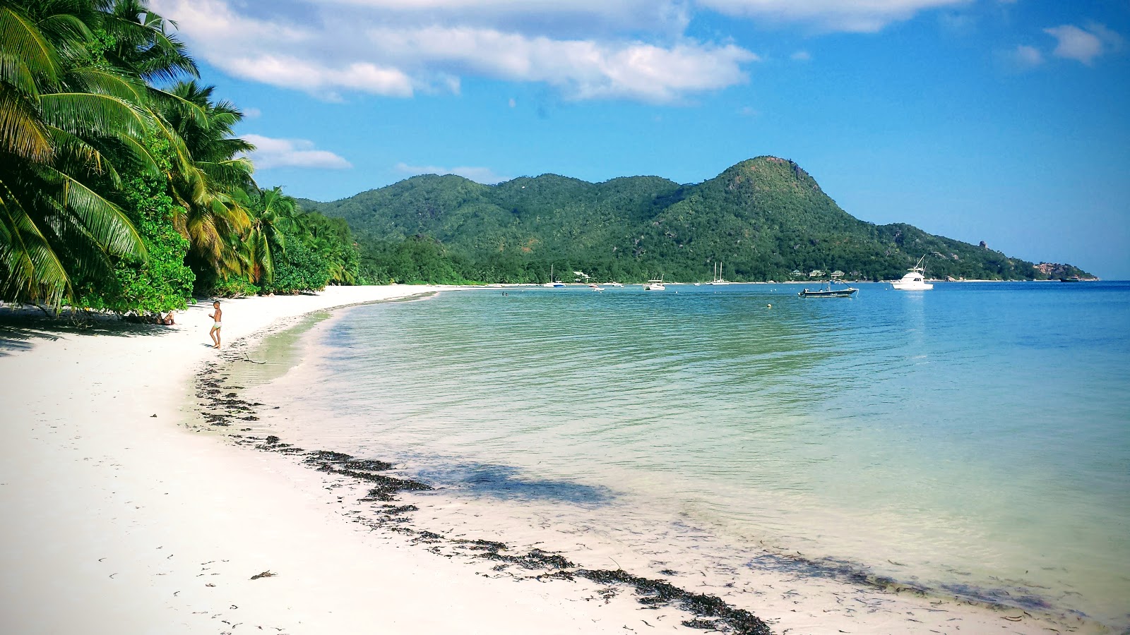 Foto von Grand Anse beach mit feiner weißer sand Oberfläche