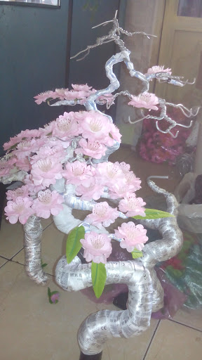 Af1qipnwpu7agug8lsl86kiaixnlvmhrvlriluj4s3yb