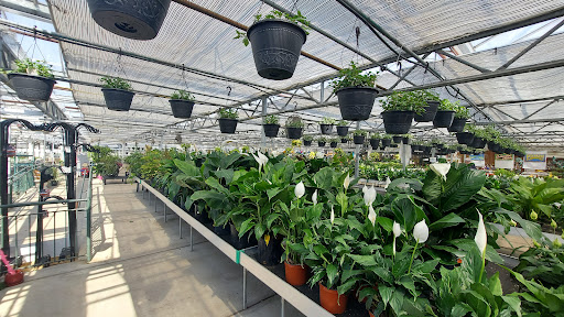 Florist «Schaefer Greenhouses Inc.», reviews and photos, 120 S Lake St, Montgomery, IL 60538, USA