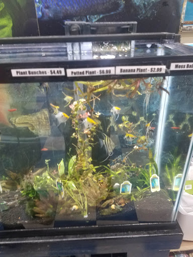 Pet Supply Store «Pets Plus - Bensalem», reviews and photos, 1336 Bristol Pike, Bensalem, PA 19020, USA