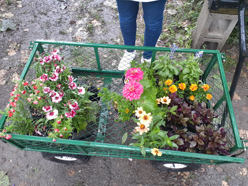 Garden Center «Chestnut Hill Flower & Garden», reviews and photos, 7639 Germantown Ave, Philadelphia, PA 19118, USA