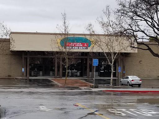 Hardware Store «Orchard Supply Hardware», reviews and photos, 5365 Prospect Rd, San Jose, CA 95129, USA