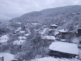 Ağcaçal Mağarasi Cevizlibağ Köyü