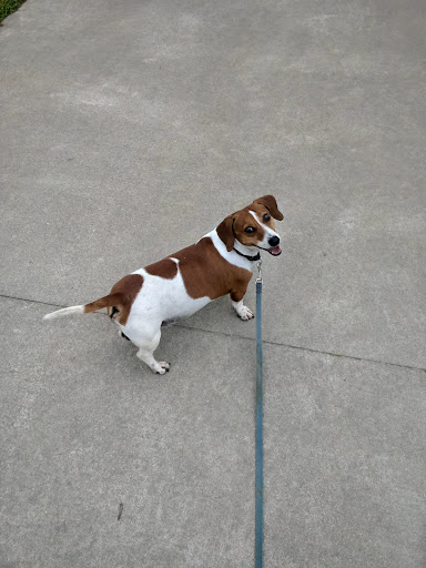 Park «Heritage Park», reviews and photos, 99 Lake Dow Rd, McDonough, GA 30252, USA