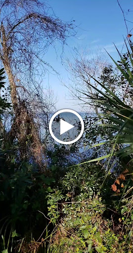 Park «John Chesnut Senior Park», reviews and photos, 2200 E Lake Rd S, Palm Harbor, FL 34685, USA