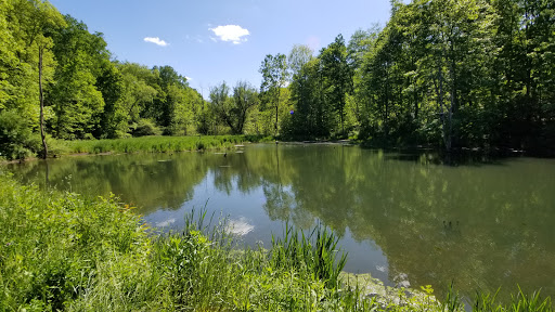 North Country Trail Cannelton, Pa