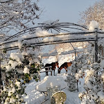 Photo n°12 de l'avis de Lynda.e fait le 31/01/2023 à 17:47 sur le  Ca Ranchi à Sant'Angelo in Vado