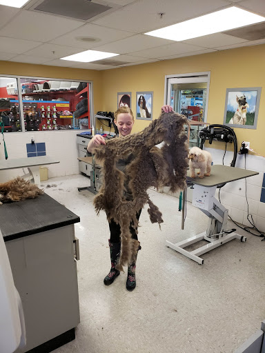 Pet Supply Store «Petco Animal Supplies», reviews and photos, 1791 Clarkson Rd, Chesterfield, MO 63017, USA