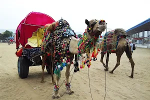 Pushkar Camel Fair image