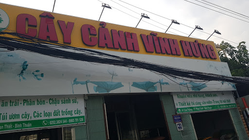 Top 20 cửa hàng cây kiểng Thành phố Phan Thiết Bình Thuận 2022