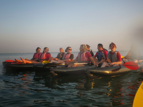 Agence de visites touristiques en canoë-kayak KAYAK NOMADE Pornic