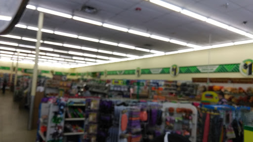 Dollar Store «Dollar Tree», reviews and photos, 1466 N Woodland Blvd, DeLand, FL 32720, USA