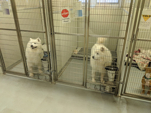 Humane Society of North Iowa