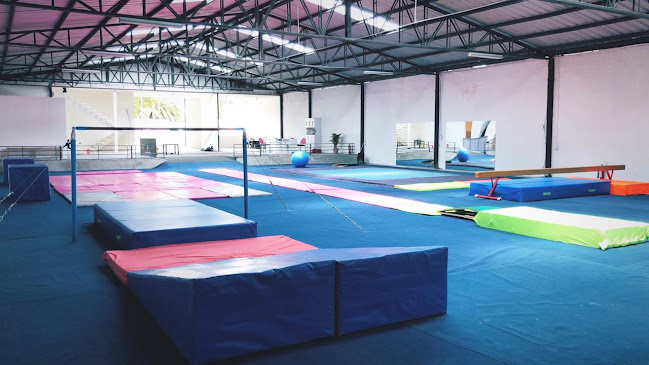 ESCUELA DE GIMNASIA MILTONKAR