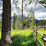 Photo n°21 de l'avis de Luca.a fait le 07/07/2020 à 19:40 sur le  Malga Ora à Aldein