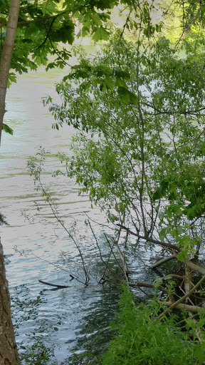 RV Park «Shamrock Village RV Park», reviews and photos, 4531 Franklin Blvd, Eugene, OR 97403, USA