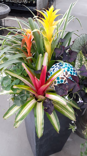 Home Improvement Store «Longeneckers True Value», reviews and photos, 127 Doe Run Rd, Manheim, PA 17545, USA