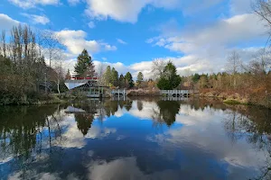 Meadowbrook Pond image