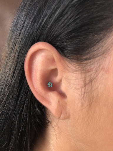 Explore robin tattoo ideas, creative tattoo ideas in Bloomington, available at Evil by the Needle Custom Tattoo and Piercing Studio